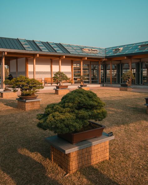 Bonsai Exhibit at Sejong National Arboretum Korean Garden, Large Greenhouse, Travel Log, Traditional Garden, Bonsai Garden, Korea Travel, Traditional Korean, Korean Aesthetic, Plant Species