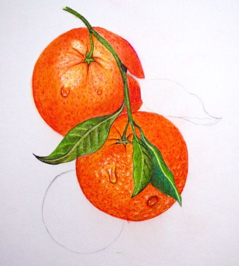 Steam Art, Fruit Art Drawings, Color Pencil Sketch, Prismacolor Art, Fruits Drawing, Colored Pencil Artwork, Pencil Shading, Colored Pencil Drawing, Pencil Art Drawings