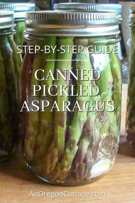 Pickled asparagus is wonderful in salads, appetizers, and for snacking. Pickle and can your own asparagus spears with this easy, step-by-step tutorial for pickled and water-bath canned asparagus. Canning Asparagus, Canned Asparagus, Summer Canning, Salads Appetizers, Pickled Asparagus, Canning Salt, Preserving Foods, Canning Jam, Water Bath Canning