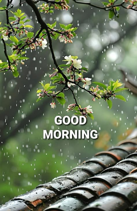 Raining Morning Quotes, Aikido Quotes, Rainy Good Morning, Good Morning Nature Images, Good Morning Posters, Morning Friday, Navratri Wishes, Rain Quotes, Morning Wallpaper