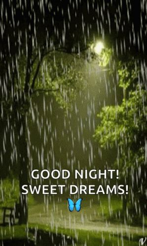 Rain Lights GIF - Rain Lights Park - Discover & Share GIFs Good Night Rainy Night Quotes, Good Night Beautiful Special Wishes Gif, Rain Good Night Images, Rainy Goodnight Images, Good Night Rainy Night Gif, Goodnight Cute Images Gif, Good Night Rainy Night, Rainy Good Night Images, Good Night Wishes Beautiful Gif