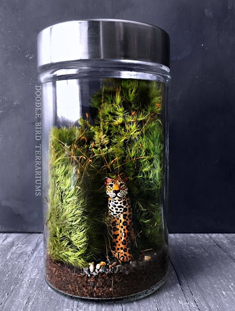 A densely planted jungle scene features a realistic hand-painted Jaguar* peeking out from the edge of the Amazon rainforest. The terrarium is planted with live moss, an easy to care for plant requiring only minimal watering and bright indirect light. Terrariums fare best when placed in a cool locat Jungle Terrarium, Diy Terrariums, Terrarium Scene, Terrariums Diy, Amazon Jungle, Miniature Terrarium, Beautiful Terrariums, Jungle Scene, Mini Terrarium