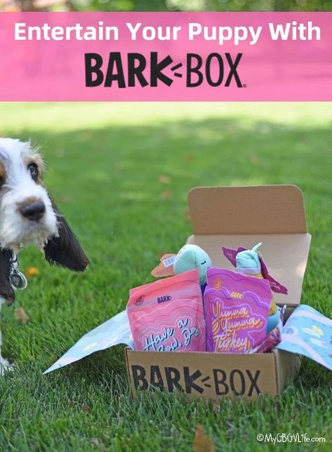 Puppy Tips, Summer Checklist, Pet Things, Puppies Tips, Bark Box, Dog Products, Healthy Ingredient, New Puppy, New Toys