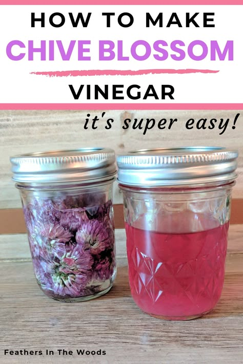 Making Flavored Vinegars, Chive Vinegar Recipe, Chive Flower Vinegar, Chive Blossom Vinegar, Chive Blossom Recipe, Chive Blossom Uses, Dehydrate Chives, Chive Flowers Recipe, Chive Recipes