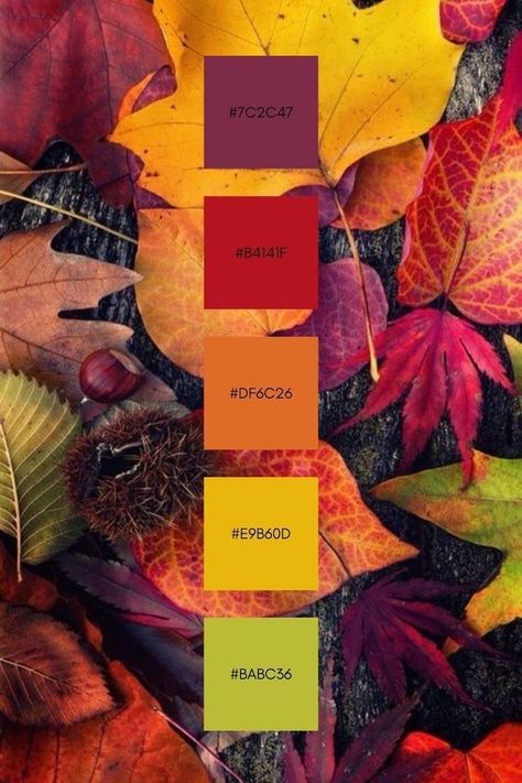 Color Design Inspiration, Color Schemes Colour Palettes, Colour Ideas, Bold Color Palette, Fall Color Palette, Color Palate, Color Palette Design, Wedding Color Palette, Color Harmony