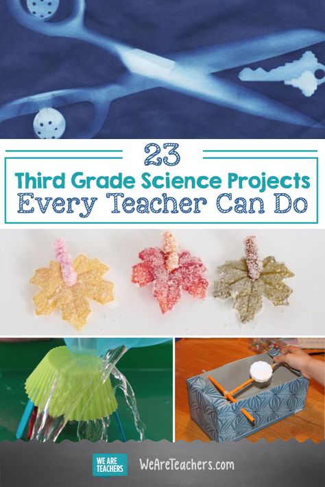 23 Third Grade Science Projects Every Teacher Can Do. Do you enjoy doing hands-on learning in your classroom? We know kids do. Check out this list of such fun, inexpensive science experiments you need to try this school year! #teaching #teach #activities Science Projects 3rd Grade, Science 3rd Grade Activities, Third Grade Science Fair Projects Ideas, Science Activities For Third Grade, Science Project 3rd Grade Ideas, Fun Homeschool Activities 3rd Grade, 3rd Grade Experiments, Easy 3rd Grade Science Experiments, Science Fair 3rd Grade Project Ideas