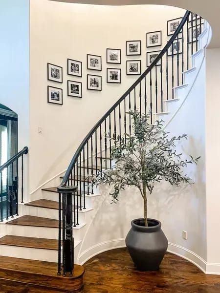 Entryway Ideas Curved Stairs, Curved Stairwell Decor, Curved Staircase Wall Decor Ideas, Curved Entryway Ideas, Entrance Stairs Entryway, Curved Staircase Wall Decor, Curved Walls Interior, Curved Wall Decor Ideas, Top Of Stairs Decor