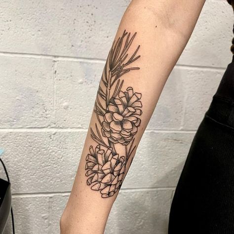 Pnw Plant Tattoo, Pine Cone Branch Tattoo, Pine Sprig Tattoo, Tiny Botanical Tattoo, Tattoo Pinecone, Pine Forest Tattoo, Pine Needle Tattoo, Green Witch Tattoo, Pine Branch Tattoo