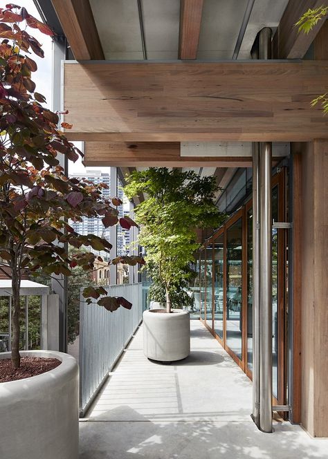 Victorian Ash glulam beams make a BIG statement at RMIT Glulam Architecture, Clt Interior, Glulam Beam, Glulam Beams, Mass Timber, Post And Beam Construction, Brian Head, Car Port, Timber Architecture