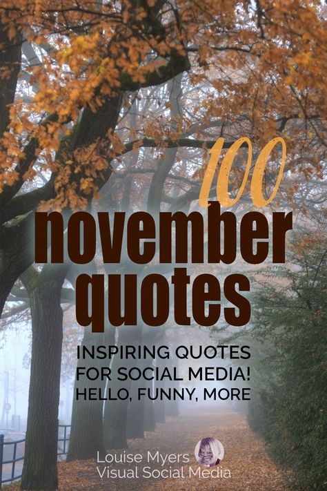 misty path lined with golden leafed trees says 100 november quotes to inspire on social media. Thankful November Quotes, November Memes Humor, November Quotes Inspirational, November Quotes Short, November Thankful Quotes, Happy November Quotes Funny, November Sayings Quote, November Post Ideas, November Funny Quotes