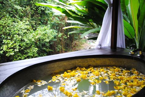 Flower Bath Aesthetic, Ubud Resort, Bali Yoga Retreat, Sofa Bed For Small Spaces, Melbourne Girl, Bath Aesthetic, Bali Yoga, Bali Trip, Fodmap Friendly