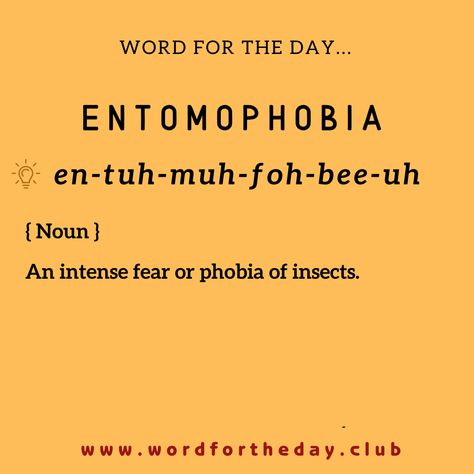 on wednesday 27th september 2023, today's word for the day is... entomophobia #wordforthedayclub Addictive Personality, Ivy League Universities, Day Club, Unusual Words, Word Play, University Student, English Vocabulary, Revenge, New Books