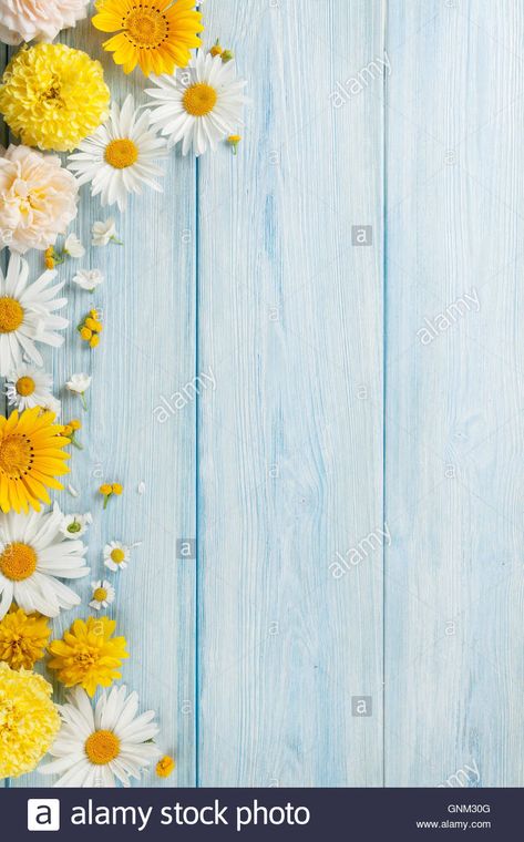 Wallpaper Tumblr, Wooden Background, Pressed Flower, Garden Flowers, Flower Backgrounds, Screen Wallpaper, Flower Wallpaper, Phone Backgrounds, Phone Wallpapers