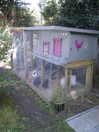 Chicken Coop/cage/run Cute Chicken Coops, Portable Chicken Coop, Homestead Ideas, Chicken Cages, Coop Plans, Keeping Chickens, Building A Chicken Coop, Chicken Coop Plans, Mini Farm