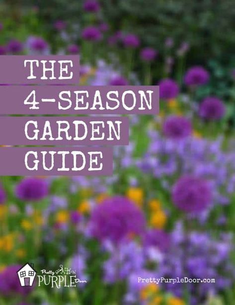 4 Season Plants, 4 Season Garden Plan, Lavender Flowerbed, 4 Season Garden, Gardening Indoors, Backyard Creations, Narrow Garden, Walkway Landscaping, Future Garden