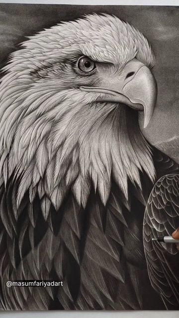 Masum Fariyad on Instagram: "Eagle 🦅
Final work ✨
Medium graphite and charcoal

#eagle
#bird #birdart
#birdlover #artist #drawings #drawart #pencilsketch #sketch #art #instagram" Birds Of Prey Drawing, Eagle Drawing Sketches, Eagle Art Draw, Eagle Sketch, Realistic Sketch, Bond Paper Design, Eagle Drawing, Eagle Art, Art Lesson Plans