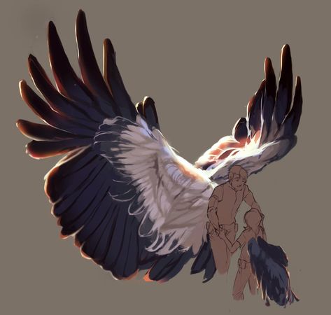 Winged People, Bird People, Bird Flying, Wings Drawing, Wings Art, Arte Fantasy, Drawing Base, Drawing Poses, Creature Design