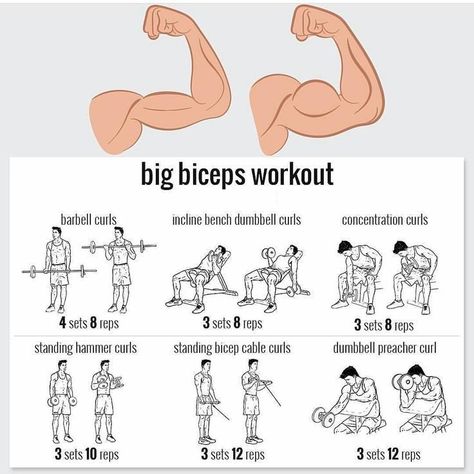 Ready to boost your biceps? Keep it short and simple by sticking with a plan that works, Check out the big biceps workout right here! Strong Arms Workout, Big Arm Workout, Big Biceps Workout, Big Biceps, Trening Fitness, Weight Training Workouts, Chest Workouts, Triceps Workout, Biceps Workout