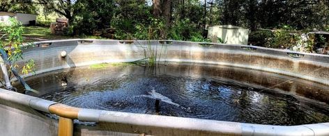 How To Turn Your Swimming Pool Into A Pond - Road to Reliance Turn Pool Into Pond, Above Ground Pool Fish Pond, Pool To Pond Conversion, Old Boat Pond Diy, Horse Trough Fish Pond, Fish Pond Out Of Old Boat, Plastic Swimming Pool, Raised Pools, Fish Pool