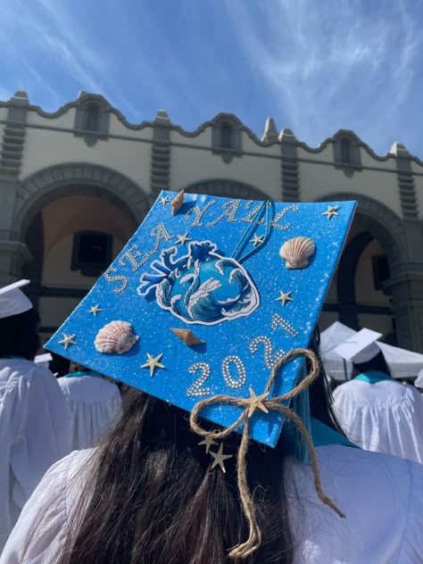 Graduation Cap Designs Ocean, Marine Biologist Graduation Cap, Beach Grad Cap, Marine Science Graduation Cap, Marine Biology Cap Decoration, Beachy Graduation Cap, Beach Themed Graduation Cap, Shark Graduation Cap, Ocean Themed Graduation Caps