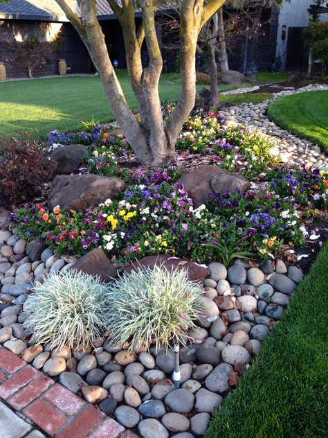 . Moderne Have, Cheap Landscaping Ideas, Small Front Yard Landscaping, Rock Garden Design, Front Landscaping, Front Yard Landscaping Simple, Rock Garden Landscaping, Landscape Designs, Garden Yard Ideas