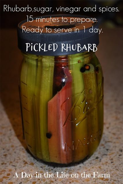 Pickled Rhubarb Recipes, Lemon Pickle, Rhubarb Pickles, Pickled Rhubarb, Rhubarb Desserts Recipes, Pickled Ramps, Making Dill Pickles, Zucchini Pickles, Pickle Recipes