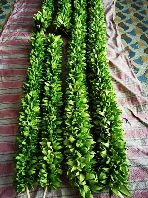 Sampangi Garland For Wedding, Jai Mala, Black Dessert, Unique Wedding Colors, Artificial Palm Leaves, Traditional Decoration, Wedding Flower Jewelry, Flower Garland Wedding, Ganapati Decoration