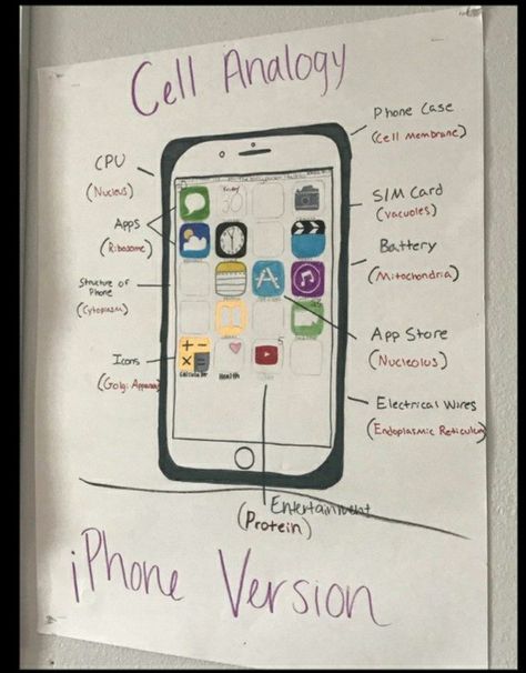 Cell Analogy Project Ideas, Cell Analogy Project, Analogy Worksheet, Cell Analogy, Cell City, High School Science Classroom, Cell Project, Life Science Middle School, Science Cells