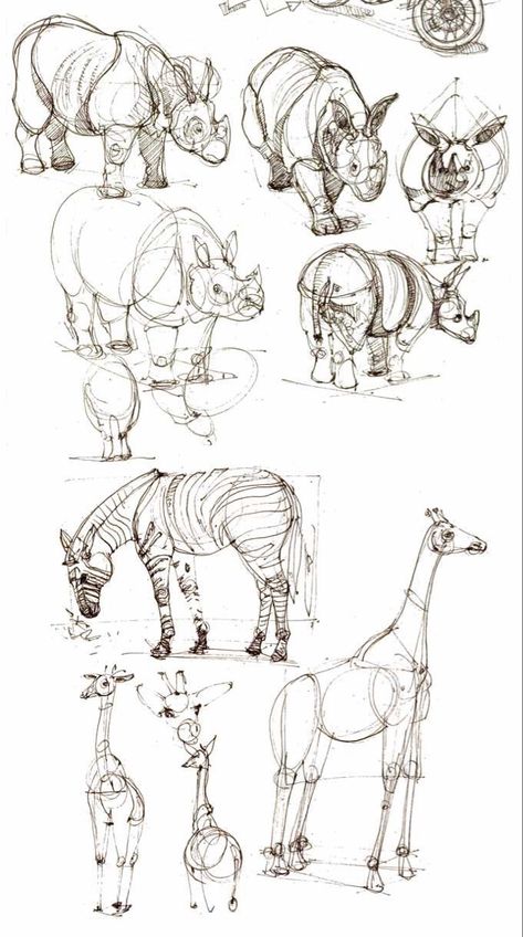 Big Animals Drawing, Animal Anatomy Drawing, People As Cartoons, Sketches Anatomy, Animal Studies, Animal Sketch, Structural Drawing, Animal Drawings Sketches, Sketches Of People