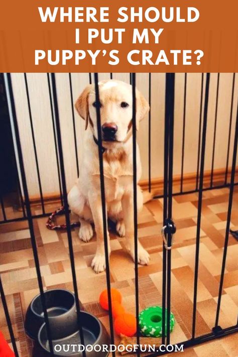 Crate Setup For Puppy, Puppy Crate Setup Playpen, Puppy Pens Indoor, Puppy Set Up Ideas Dog Crates, Where To Put Dog Crate In House, Dog Crate Areas In House, Puppy Pen Ideas Indoor Small Space, Puppy Playpen Ideas Indoor, Puppy Areas In Home