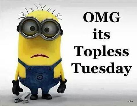 Funny Tuesday Quotes, Funny Minion Jokes, Funny Tuesday, Funny Minions Quotes, Tuesday Coffee, Tuesday Funny, Minions Images, Minions Humor, Funny Minion Memes