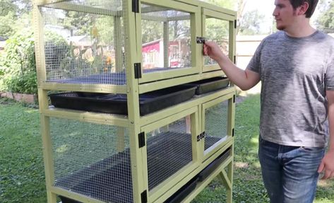 Diy Indoor Quail Cage, Quail Cages Diy How To Build, Quail Coop Ideas Diy Outdoor, Quail Hutch Diy, Quail Cage Ideas, Button Quail Housing Indoor, Diy Quail Cage, Diy Quail Coop, Quail Cage Plans