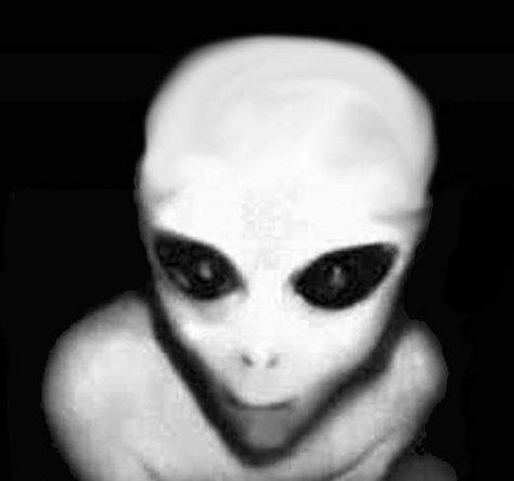 Fact or Fiction? Scary Alien, Fact Or Fiction, Five Night, Aliens, Halloween Face, Face Makeup, Halloween Face Makeup, Media, Halloween