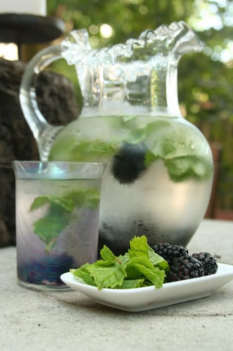 Blackberry & Mint Infused Water Mint Infused Water, Water Infusion, Flavored Waters, Infused Waters, Infused Water Recipes, Fruit Infused Water, Spa Water, Cool Drinks, Fruit Water