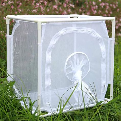 Amazon.com: RESTCLOUD Monarch Butterfly Habitat Cage, Outdoor Insect Mesh Cage Terrarium 16" x 12" x 16" : Toys & Games Monarch Butterfly Habitat, Butterfly Cage, Pvc Siding, Butterfly Habitat, Monarch Caterpillar, Swallowtail Butterfly, Small Potted Plants, Outdoor Decor Backyard, Science Kits