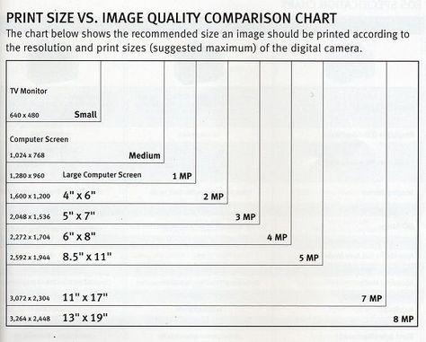 Barbie Doll Printables, Frame Matting Diy, Doll Printables, Photo Print Sizes, Album Designs, Vs Image, Photography Essentials, Cardmaking Techniques, Photography Settings