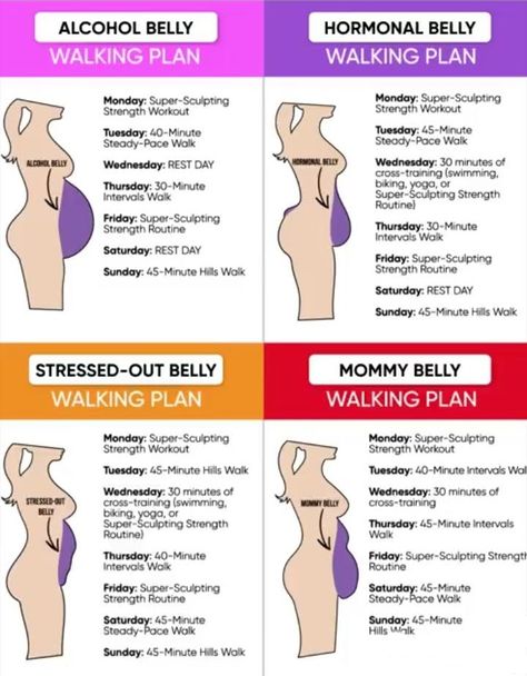 Body Type Workout, Strength Routine, Walking Plan, Weight Workout Plan, Strength Workout, Belly Workout, Lose Belly, Lose Belly Fat, Diet