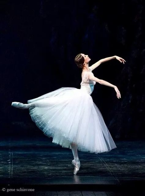 Ballet,Dance Ballet Giselle, Svetlana Zakharova, Ballet Pictures, Ballet Beauty, Alvin Ailey, Bolshoi Ballet, Ballet Poses, Ballet Inspiration, Misty Copeland