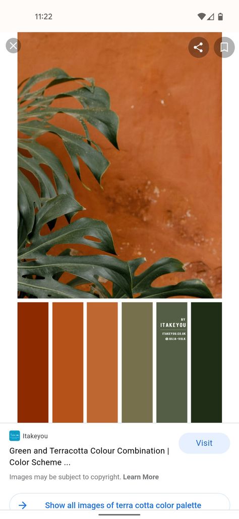 Terra Cotta Wall Color, Terra Cotta Living Room, Terra Cotta Color Palette, Terra Cotta Paint Color, Desert Color Palette, Terracotta Color Palette, Palette Wall, Atrium Design, Color Palette Living Room