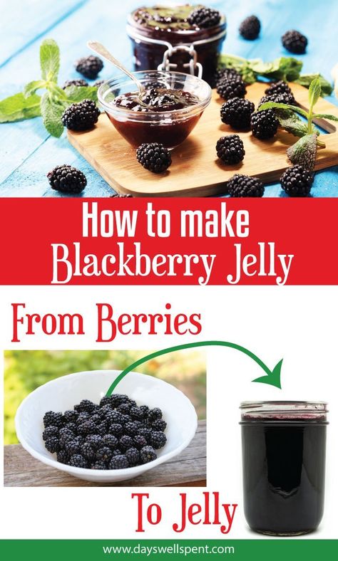 How to Make and Can Homemade Blackberry Jelly. This simple 2 ingredient recipe makes the best blackberry jelly. How To Make Blackberry Jelly, Blackberry Jelly Recipe Easy, Blackberry Jelly Recipe Seedless, Jam Vs Jelly, Blackberry Jelly Recipe, Fall Canning, Homemade Staples, Homemade Blackberry Jam, Clear Fruit