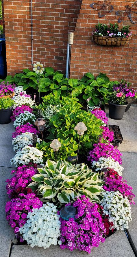 Small Garden With Dianthus Front Flower Beds, Flower Season, Blue Patio, Front Garden Landscape, Small Front Yard Landscaping, Garden Flower Beds, Front Yard Garden Design, Container Gardening Flowers, Beautiful Flowers Garden