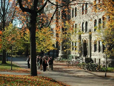 Princeton University Leaves On The Ground, Fall Moodboard, Autumn Leaves Falling, Frazzled English Woman, Princeton New Jersey, Leaves Falling, Autumn In New York, Fall Mood Board, Fall Semester