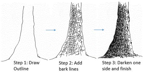 How To Draw Bark On A Tree, How To Draw Tree Trunk, How To Draw Tree Bark, Tree Bark Drawing, Tree Trunk Drawing, Draw Tree, Trees Drawing Tutorial, Tree Drawings, Pen And Ink Drawings