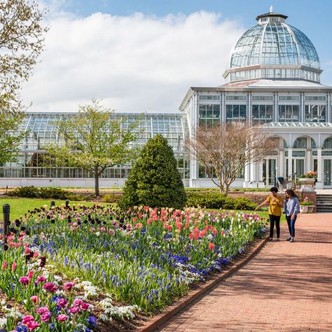 Us Botanical Gardens Dc, Royal Botanic Gardens, Garden Spotlights, Christchurch Botanic Gardens, Carnivorous Pitcher Plant, Lewis Ginter Botanical Garden, Singapore Botanic Gardens, Fine Gardening Magazine, Gardens Of The World