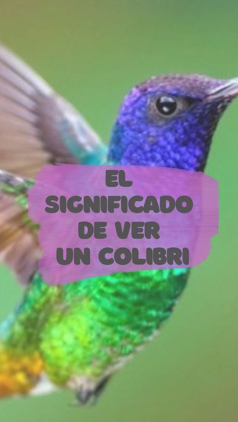 Hummingbird Spiritual Meaning, Miracle Prayer, Lewis Carroll, Spiritual Meaning, Hummingbirds, Reiki, Meant To Be, Angeles, Spirituality