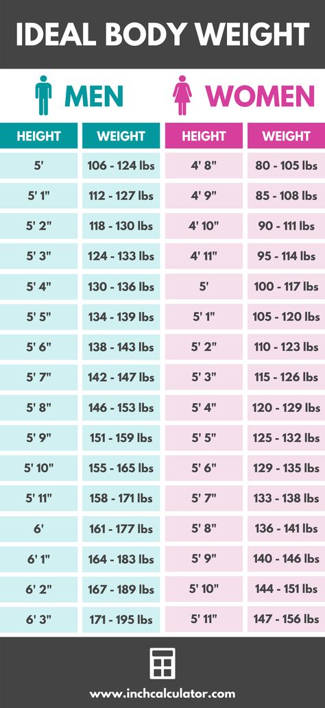 Ideal Body Weight Calculator - Inch Calculator Hight And Weight Chart, Weight Chart For Men, Ideal Weight Chart, Ideal Weight For Women, Weight Charts For Women, Weight Charts, Weight Calculator, Ideal Body Weight, Calorie Calculator