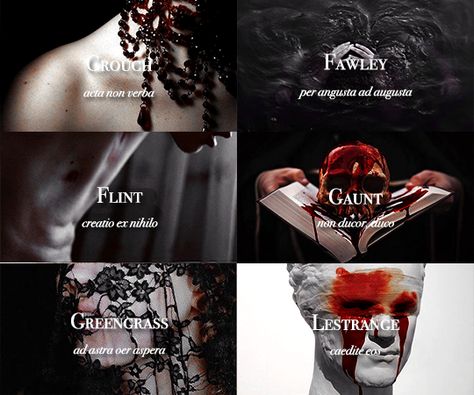 Sacred Twenty-Eight pureblood families: Crouch, Fawley, Flint, Gaunt, Greengrass, Lestrange Gaunt Family Harry Potter, Gaunt Family Aesthetic, Sacred 28 Aesthetic, Sacred 28 Harry Potter, Pureblood Families, Gaunt Family, Pureblood Aesthetic, Sacred 28, Black Family Aesthetic