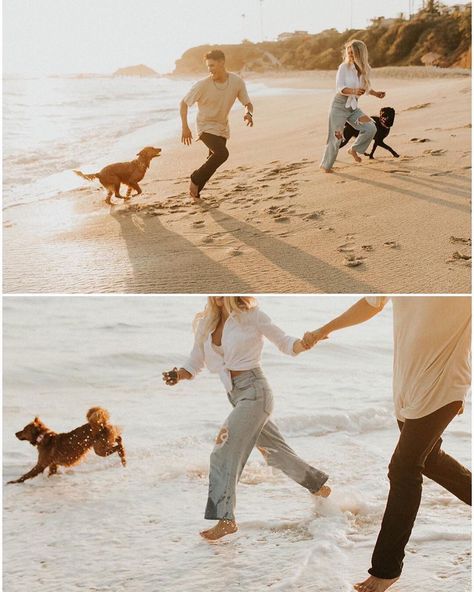 Photoshoot Ideas With Dogs, Couple Photoshoot With Dog, Beach Dog Photos, Sunset In California, Photoshoot With Dog, Dog Family Pictures, Family Dog Photos, Pre Wedding Praia, Beach Photoshoot Family