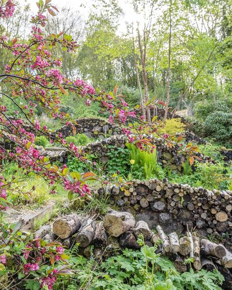 Log Piles Garden, Nigel Dunnett Garden, Backyard Meadow, Nigel Dunnett, Log Garden, Welsh Cottage, Personal Garden, Bee Friendly Garden, Habitat Garden