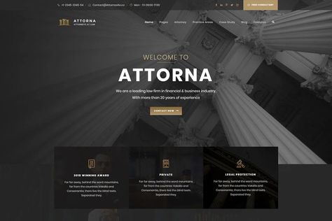 20+ Best Lawyer WordPress Theme For Law firm Website - RadiusTheme Consulting Firm Website Design, Law Website Design, Law Web, Lawyer Website Design, Lawyer Branding, Law Firm Website Design, Law Design, Lawyer Website, Elegant Website Design